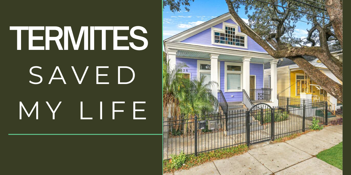 termites saved my life featured